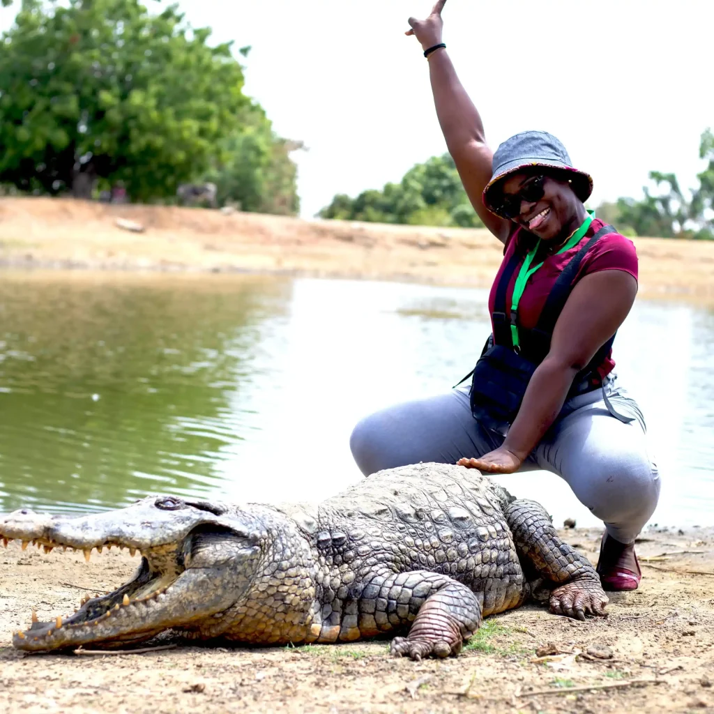 crocodile scaled 11zon